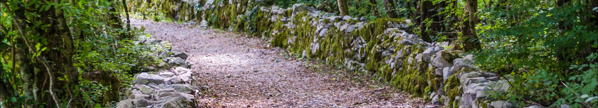 Header SAPV