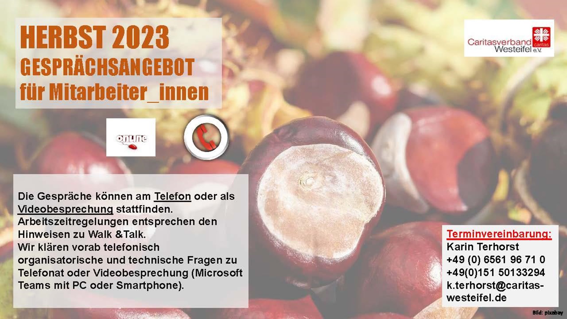 Walk and talk 2023 digital